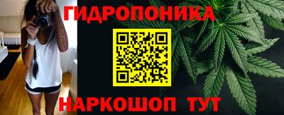 Альфа ПВП Краснознаменск