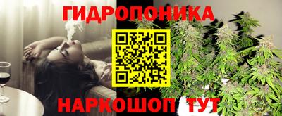 Альфа ПВП Краснознаменск