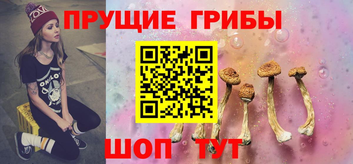 Галлюциногенные грибы Magic Shrooms Зеленодольск